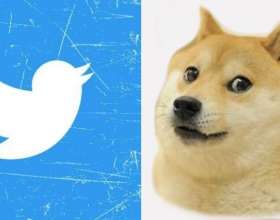 Илон Маск по совету пользователя сменил логотип Твиттера с птицы на пса из мемов